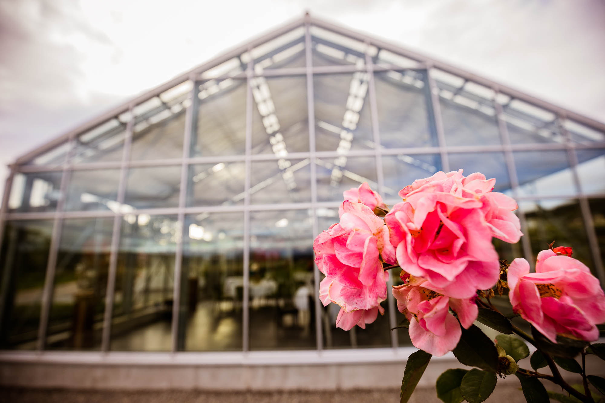 Export x3 5D4 6507 Hochzeit 2020 Claudia & Thomas